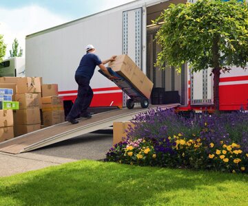 Workers loading cargo
